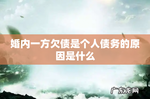 婚内一方欠债是个人债务的原因是什么