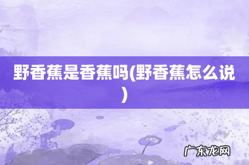 野香蕉怎么说 野香蕉是香蕉吗