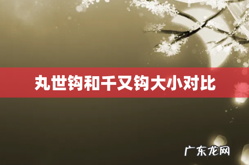 丸世钩和千又钩大小对比
