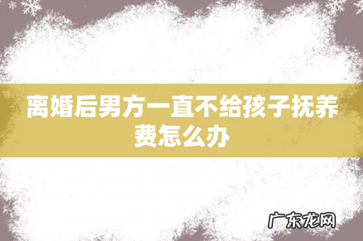 离婚后男方一直不给孩子抚养费怎么办