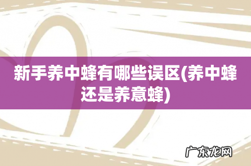 养中蜂还是养意蜂 新手养中蜂有哪些误区