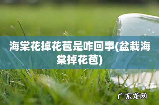 盆栽海棠掉花苞 海棠花掉花苞是咋回事