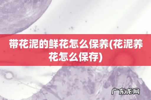 花泥养花怎么保存 带花泥的鲜花怎么保养