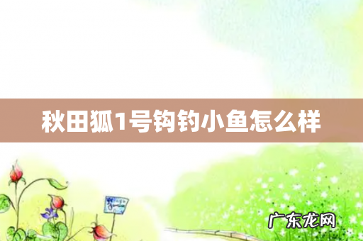 秋田狐1号钩钓小鱼怎么样