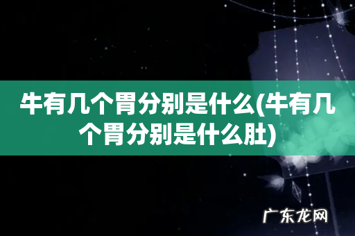 牛有几个胃分别是什么肚 牛有几个胃分别是什么