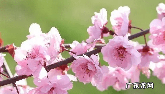 窗户对着电线杆子应该怎么化解 风水学窗户外面电线杆上挂锁链