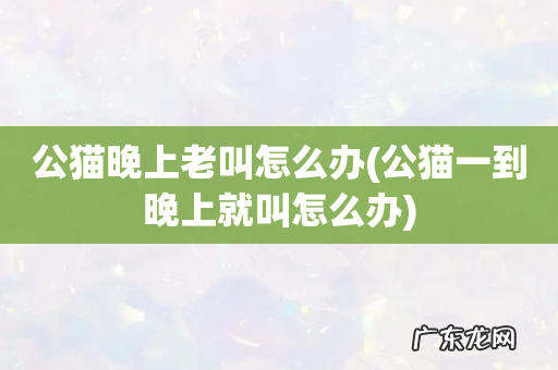 公猫一到晚上就叫怎么办 公猫晚上老叫怎么办