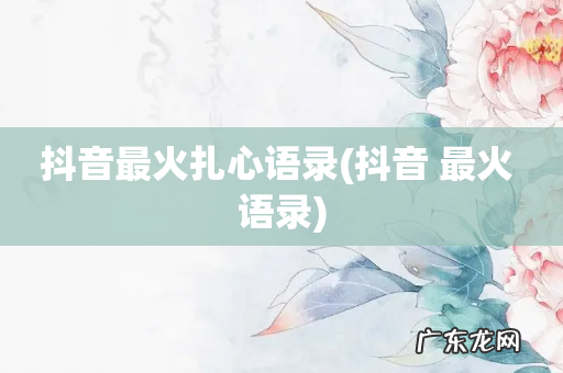 抖音 最火 语录 抖音最火扎心语录