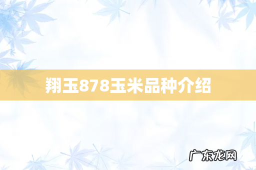 翔玉878玉米品种介绍
