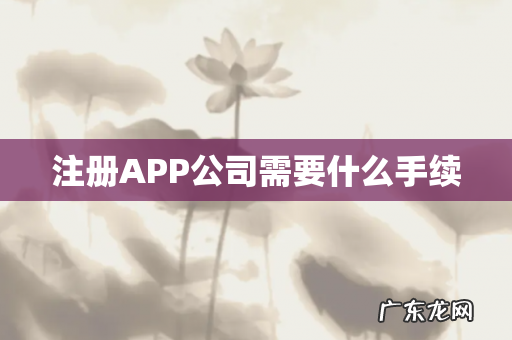 注册APP公司需要什么手续