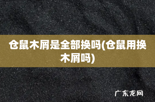 仓鼠用换木屑吗 仓鼠木屑是全部换吗