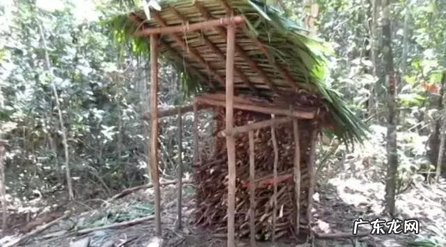 primitive cell primitivetechnology全集