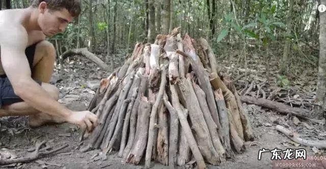 primitive cell primitivetechnology全集