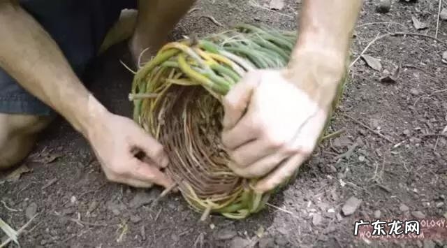 primitive cell primitivetechnology全集