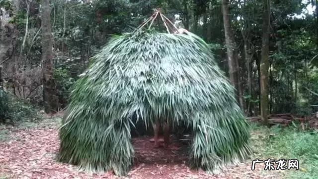 primitive cell primitivetechnology全集