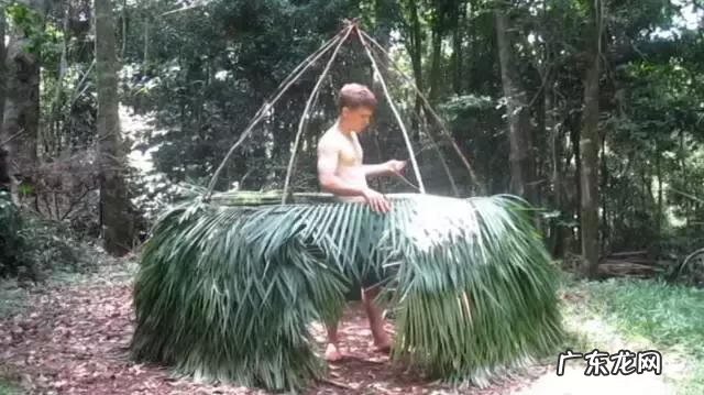 primitive cell primitivetechnology全集