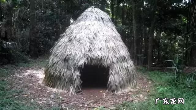 primitive cell primitivetechnology全集