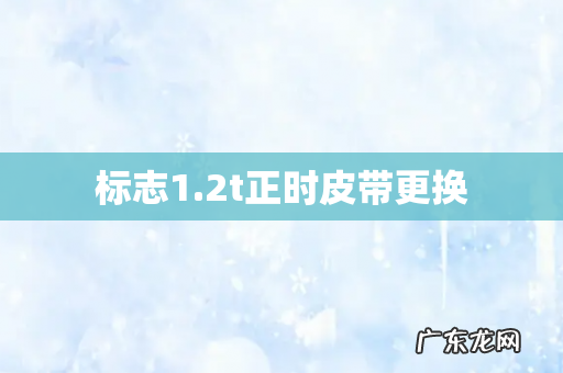 标志1.2t正时皮带更换