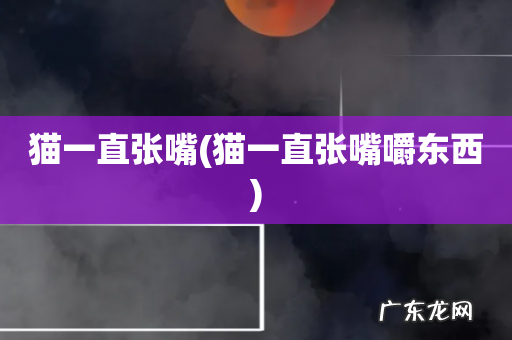 猫一直张嘴嚼东西 猫一直张嘴