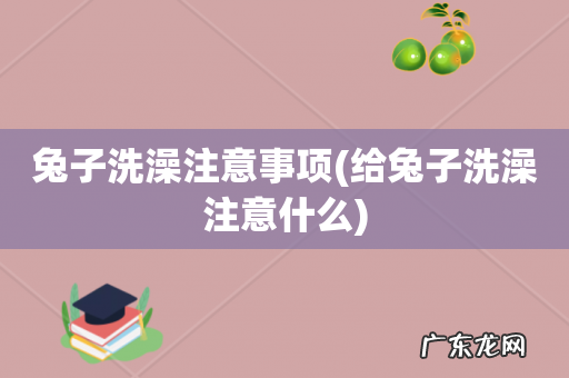 给兔子洗澡注意什么 兔子洗澡注意事项
