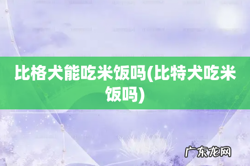 比特犬吃米饭吗 比格犬能吃米饭吗