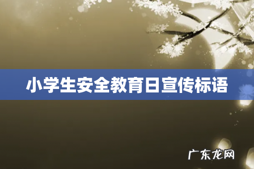 小学生安全教育日宣传标语