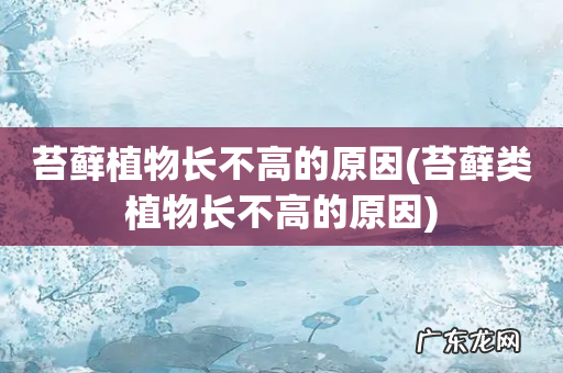 苔藓类植物长不高的原因 苔藓植物长不高的原因