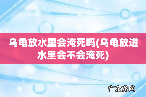 乌龟放进水里会不会淹死 乌龟放水里会淹死吗