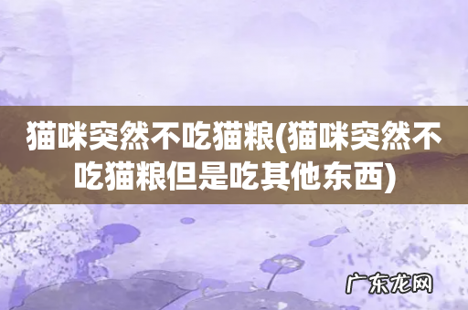 猫咪突然不吃猫粮但是吃其他东西 猫咪突然不吃猫粮