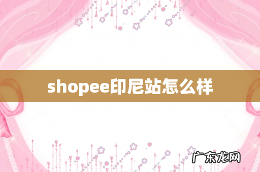 shopee印尼站怎么样