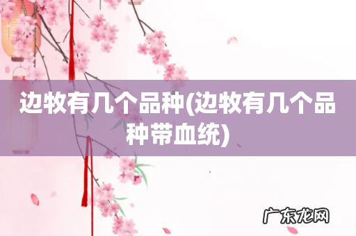 边牧有几个品种带血统 边牧有几个品种