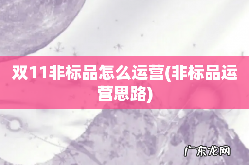 非标品运营思路 双11非标品怎么运营