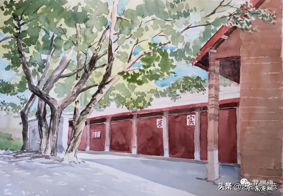 厂房院子里种什么树风水好 厂房里种什么树风水好