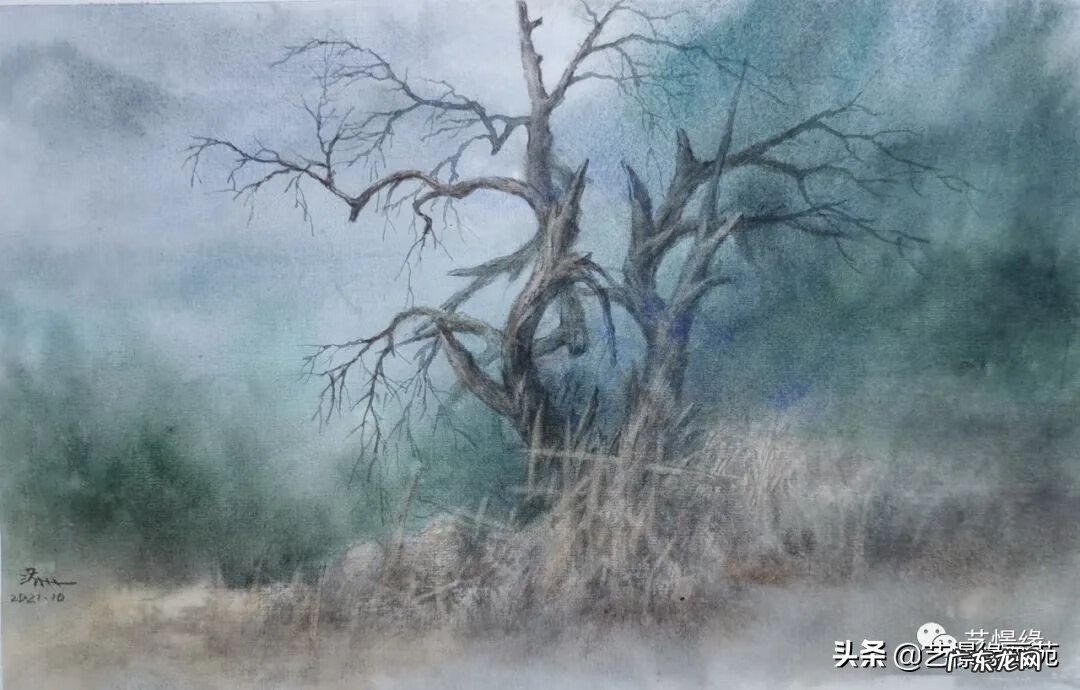 厂房院子里种什么树风水好 厂房里种什么树风水好