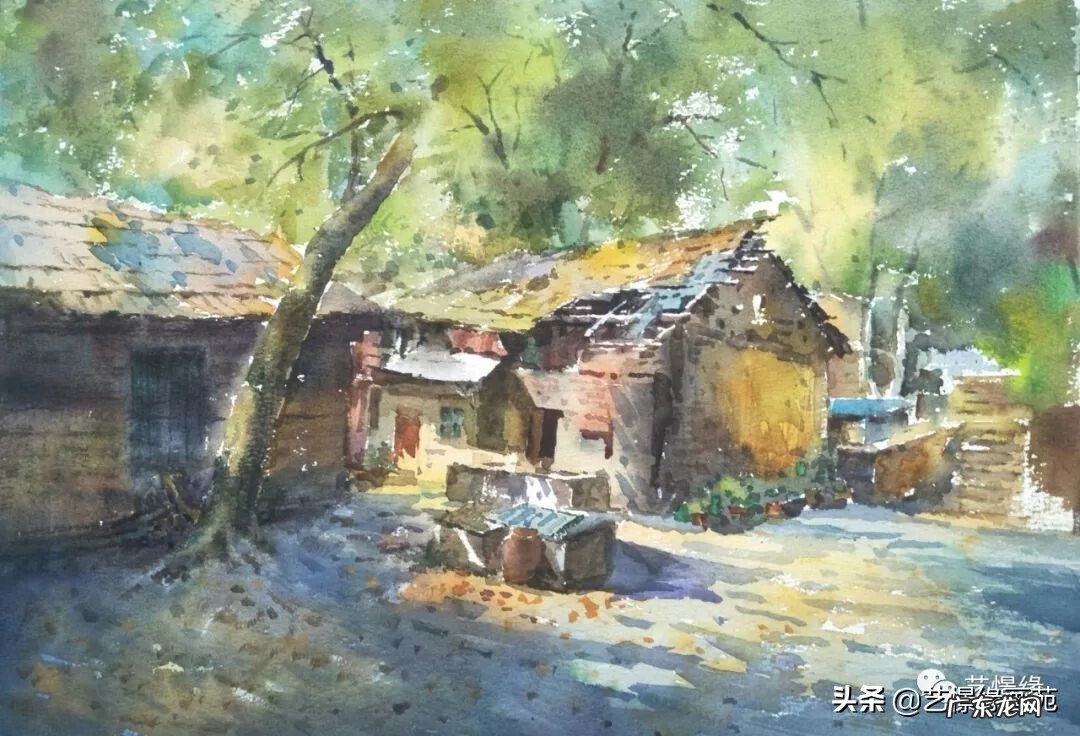 厂房院子里种什么树风水好 厂房里种什么树风水好