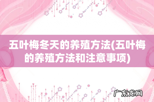 五叶梅的养殖方法和注意事项 五叶梅冬天的养殖方法