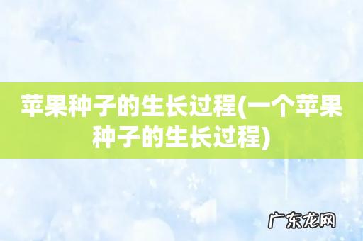 一个苹果种子的生长过程 苹果种子的生长过程