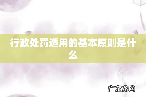 行政处罚适用的基本原则是什么