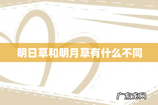 明日草和明月草有什么不同