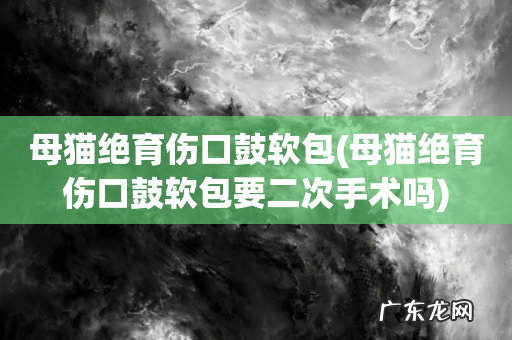 母猫绝育伤口鼓软包要二次手术吗 母猫绝育伤口鼓软包
