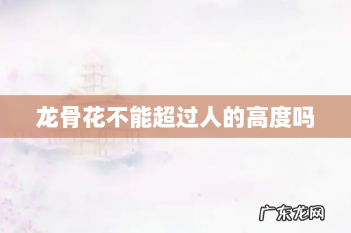 龙骨花不能超过人的高度吗