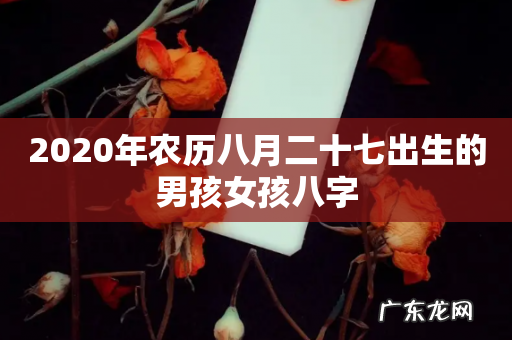 2020年农历八月二十七出生的男孩女孩八字