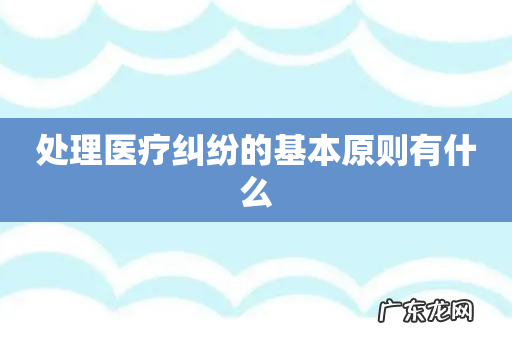 处理医疗纠纷的基本原则有什么