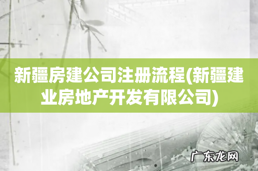 新疆建业房地产开发有限公司 新疆房建公司注册流程