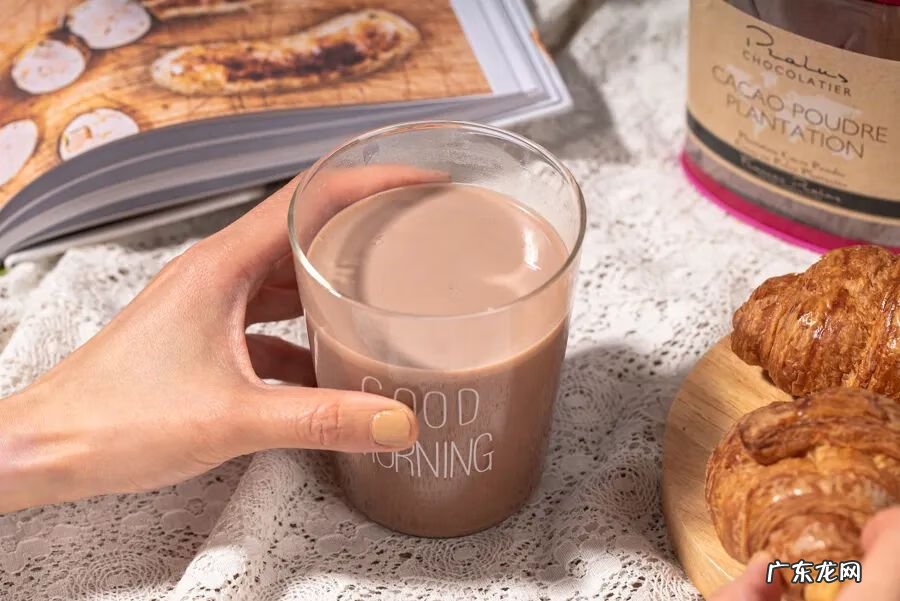 可可粉哪种好 可可粉哪个牌子的好