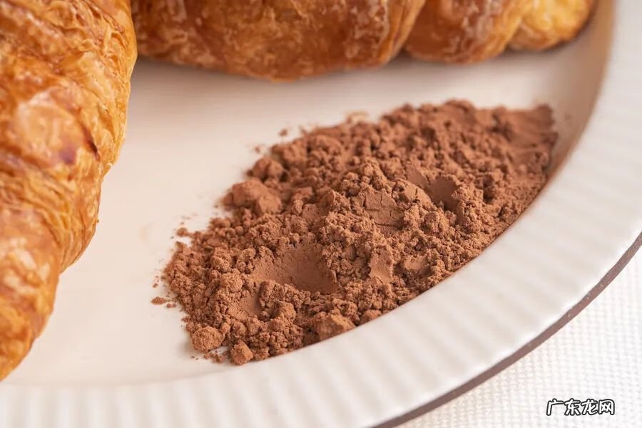 可可粉哪种好 可可粉哪个牌子的好