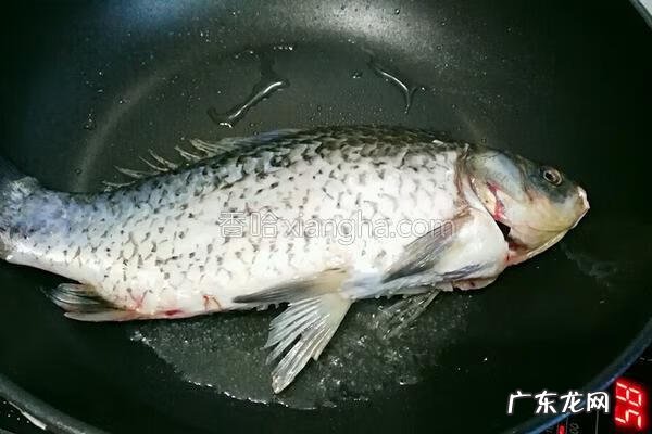 通草鲫鱼汤熬多久 通草鲫鱼汤的做法
