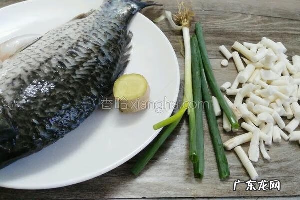 通草鲫鱼汤熬多久 通草鲫鱼汤的做法