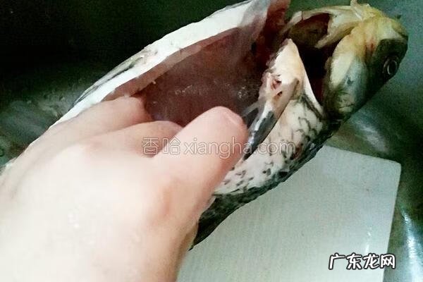 通草鲫鱼汤熬多久 通草鲫鱼汤的做法