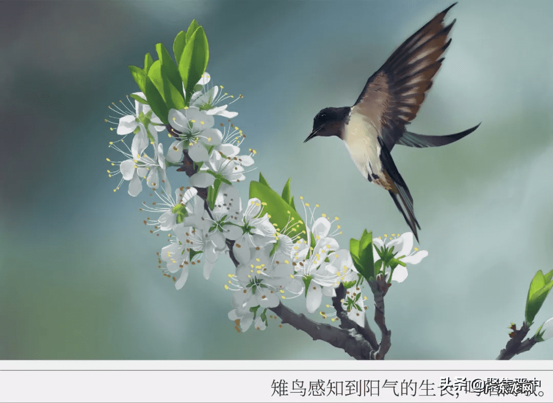 寒气重的人怎么调理 下体寒气重怎么办